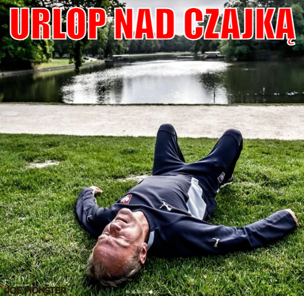 Czajka