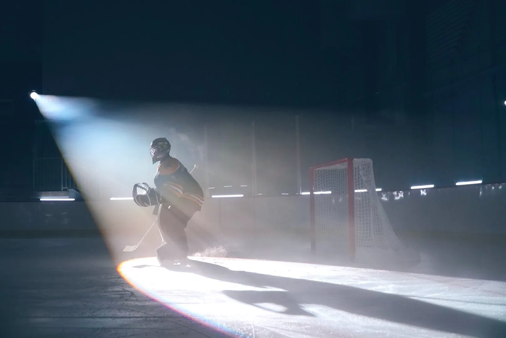 Znasz drużyny NHL? Pytamy o obie Konferencje