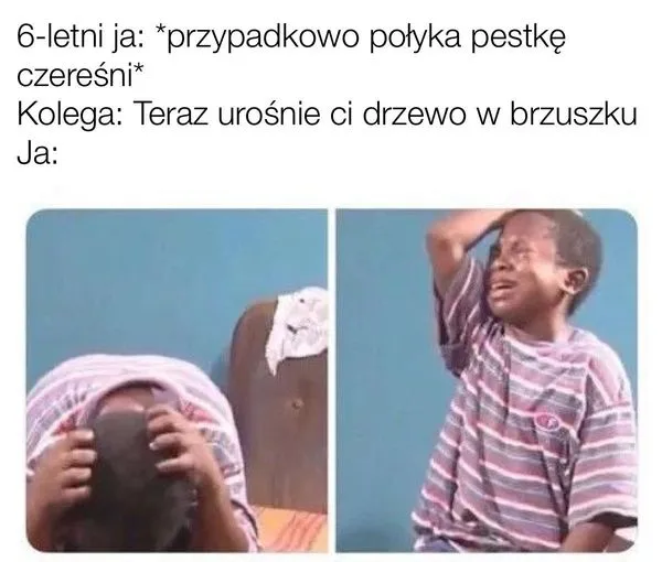 Kolega