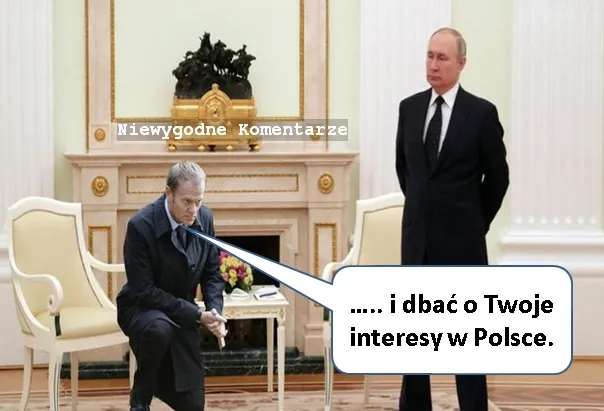 Interesy