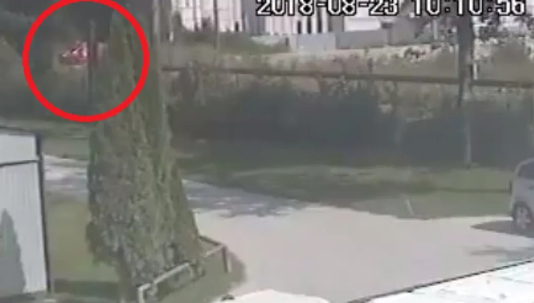 Śmierć kursantki nauki jazdy. 1,5 roku więzienia dla egzaminatora