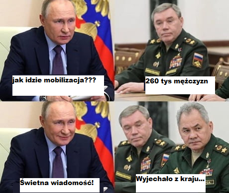 Mobilizacja