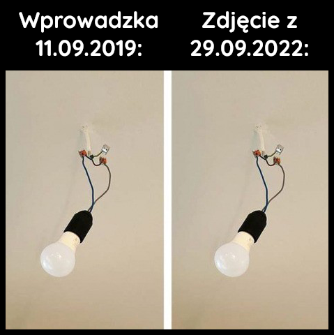 Wprowadzka