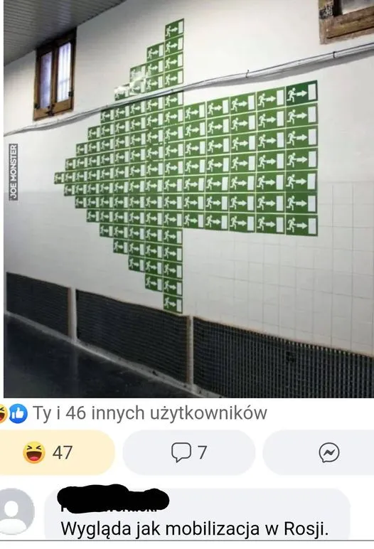 Mobilizacja