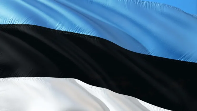 Estonia obawia się rosyjskich prowokacji