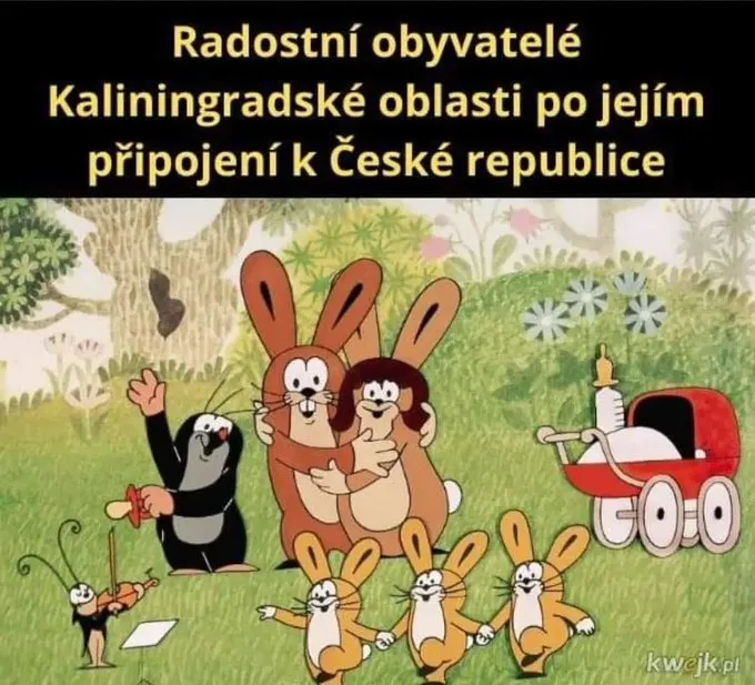 Radośni obywatele