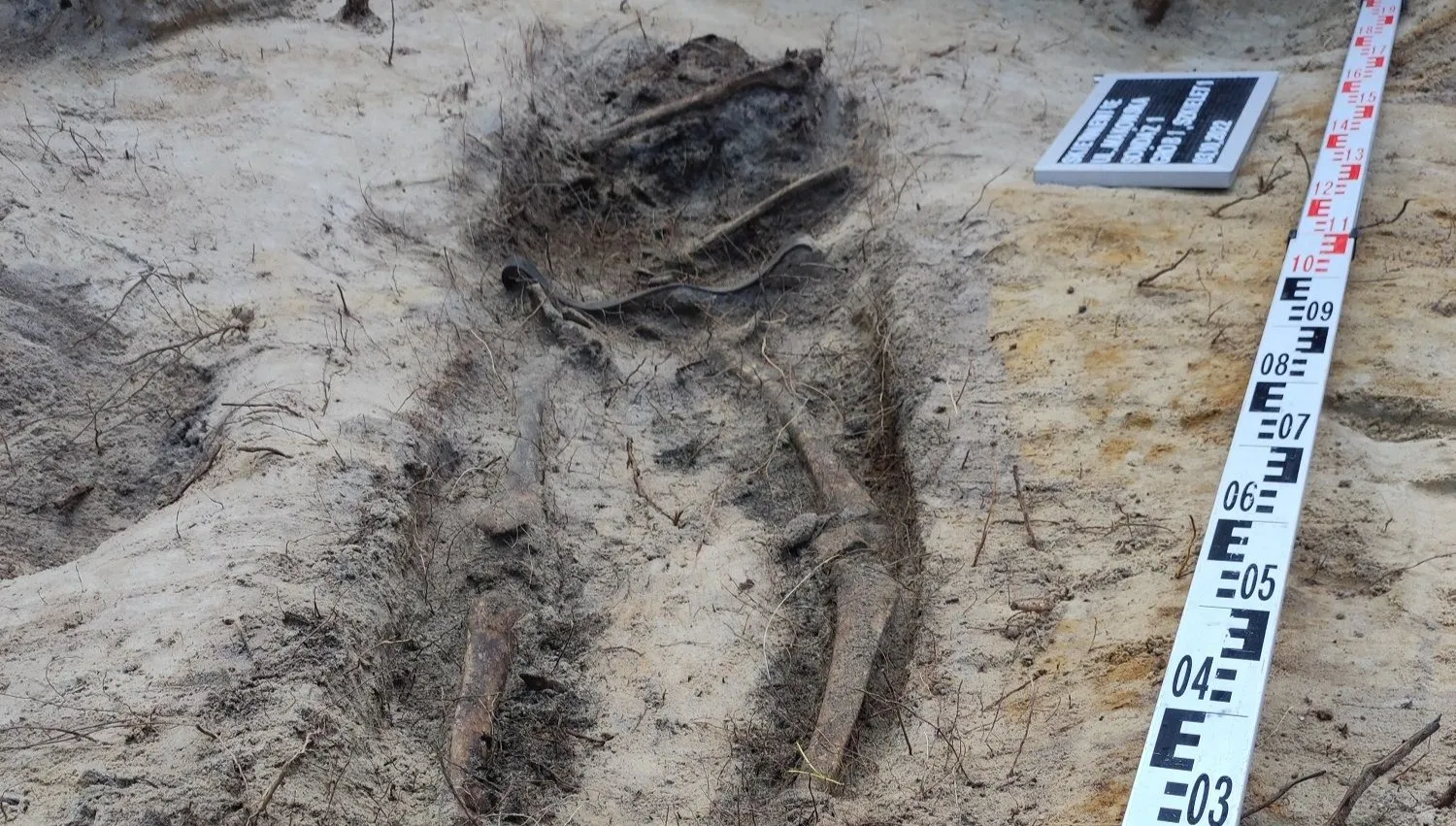 W Skierniewicach odnaleziono szczątki 14-latka - ofiary niemieckich zbrodni. Wstrząsająca historia 