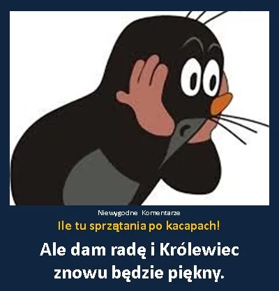 Sprzątanie