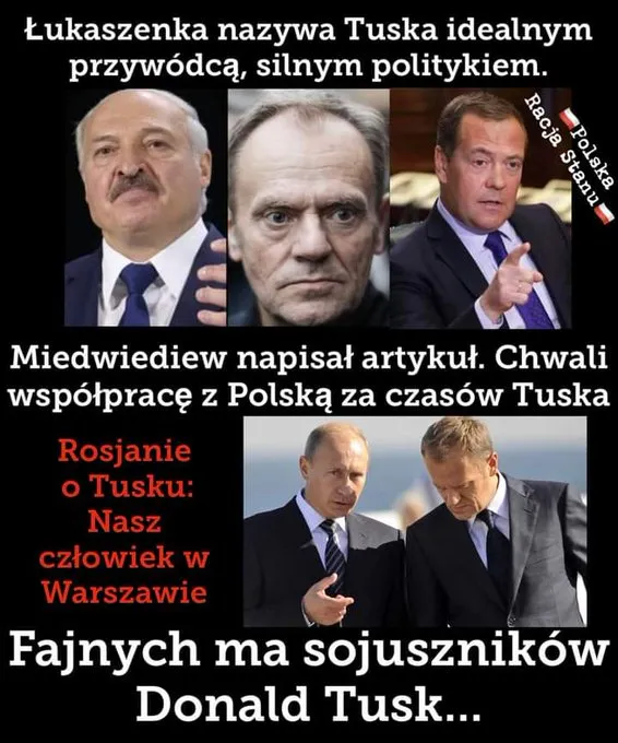 Sojusznicy