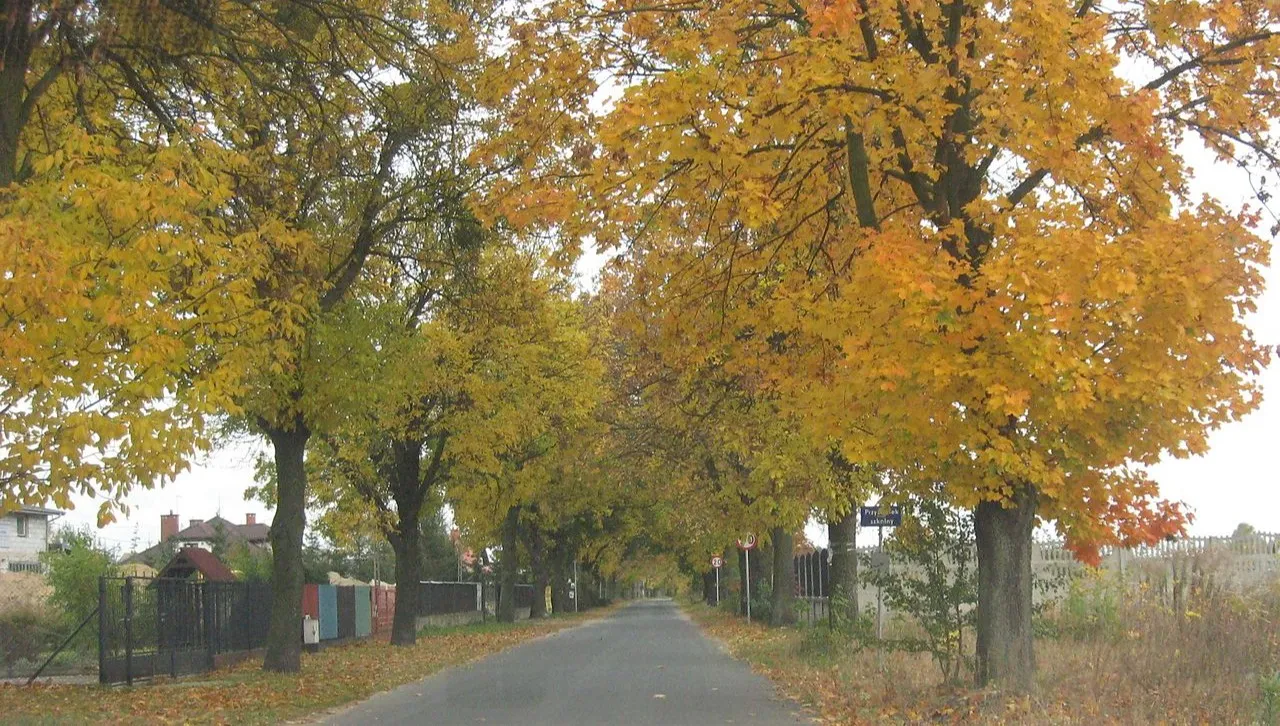 Kierowco, niech ładna pogoda na Wszystkich Świętych Cię nie zmyli!