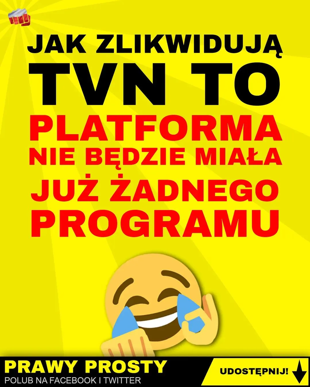Likwidacja i program