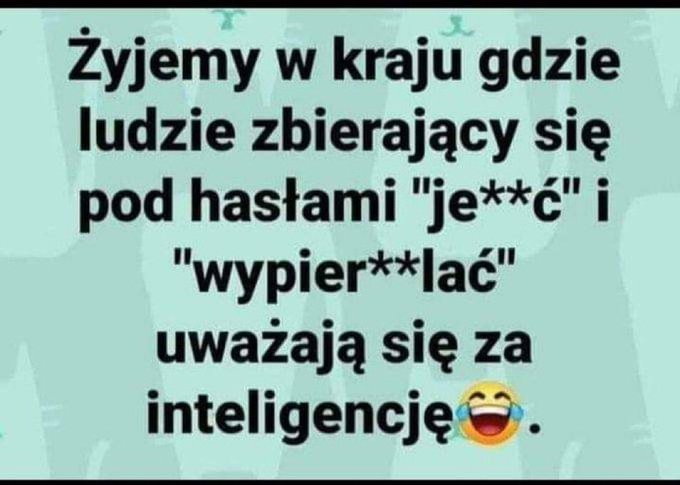Yntelygencja...