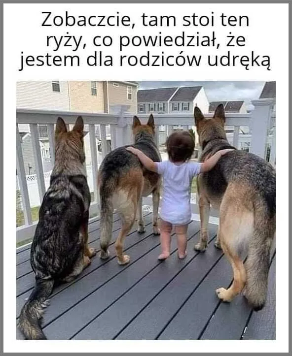 Ryży