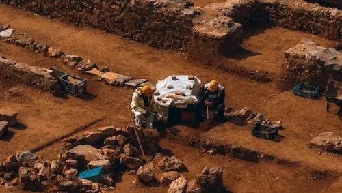 Szczątki ptaków bez głów. Wielkie odkrycie archeologów