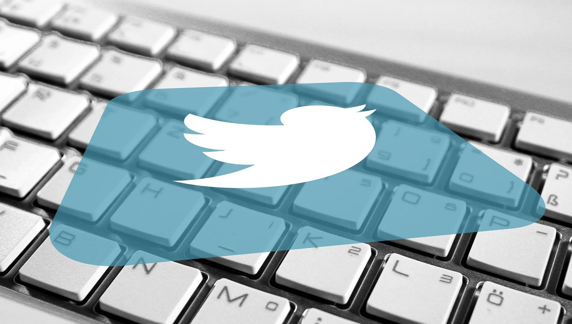 Twitter prosi o powrót części zwolnionych pracowników