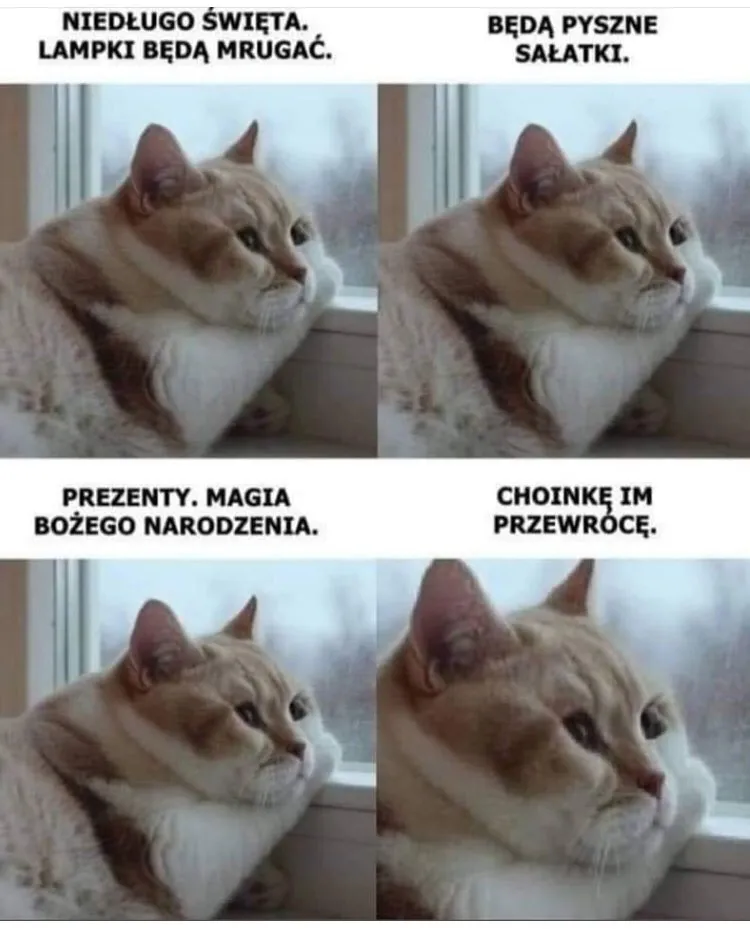 Idą święta