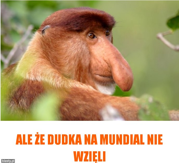Kto to widział