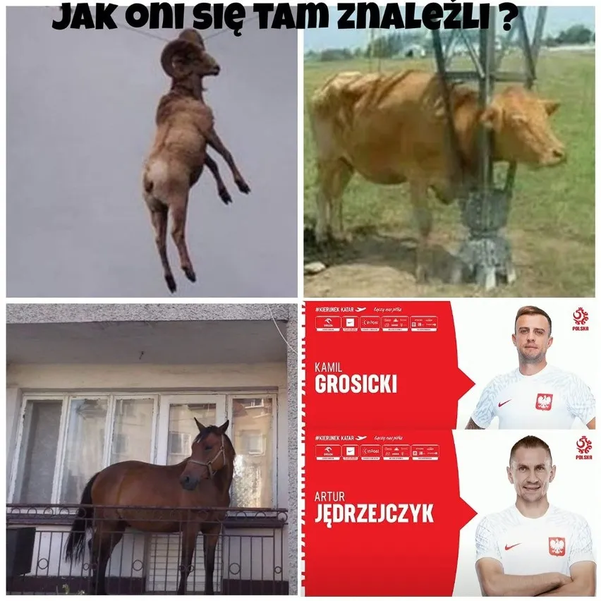 Jak się znaleźli?