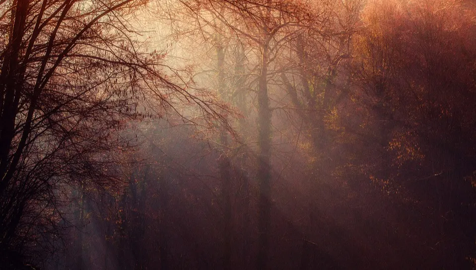 Dziś na ogół pogodnie. Na termometrze nawet 15 stopni C.