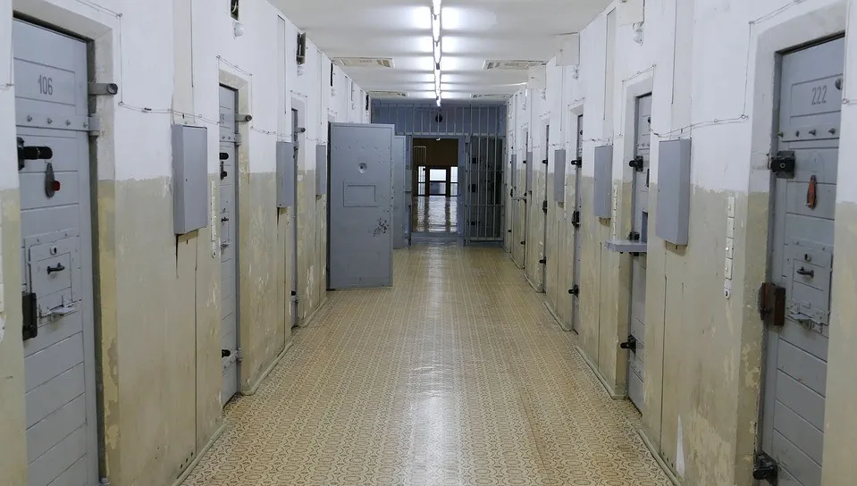 Zoofil za kratkami. Zdążył skrzywdzić kolejne zwierzęta