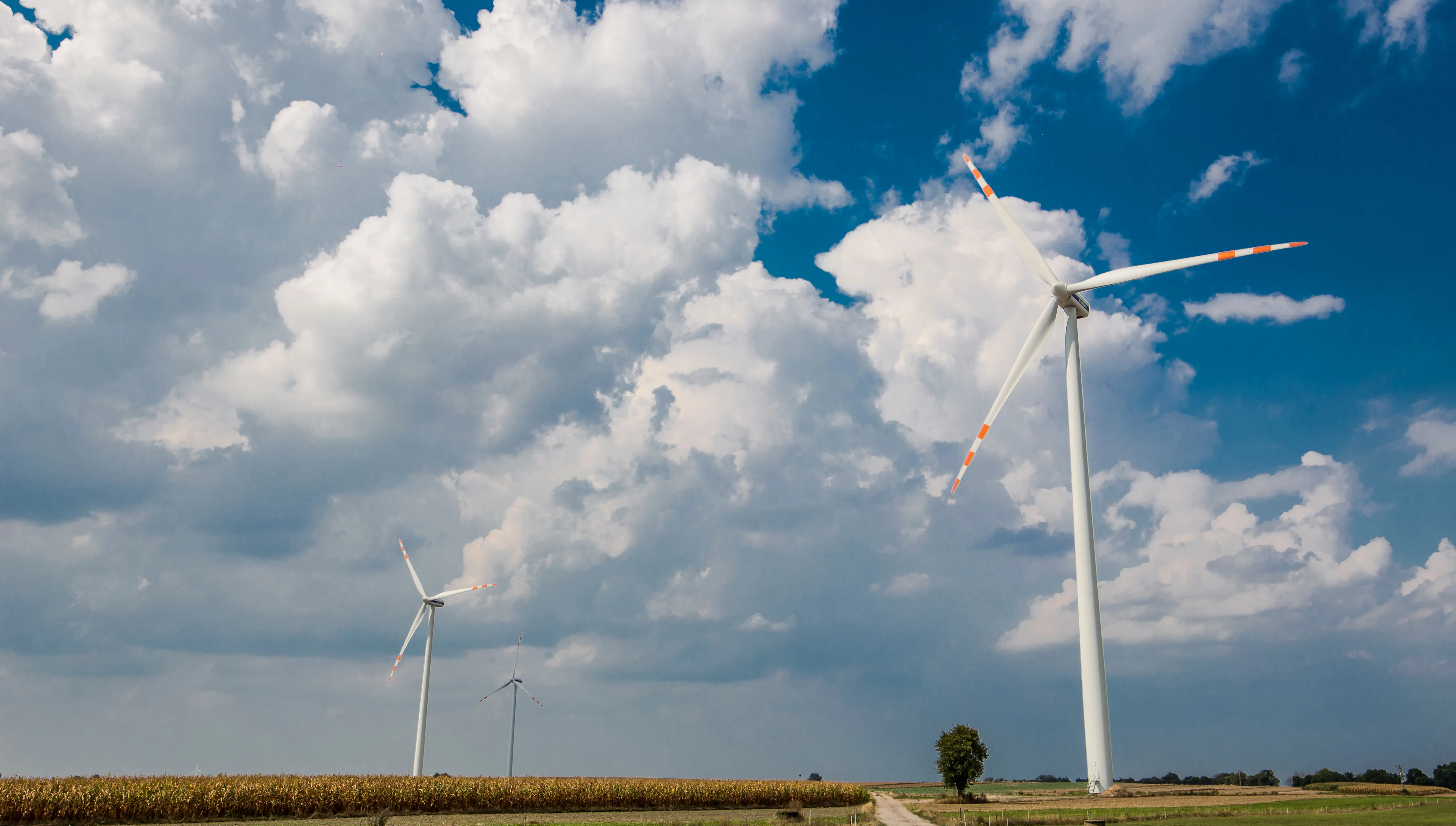 TAURON ma już 200 turbin wiatrowych