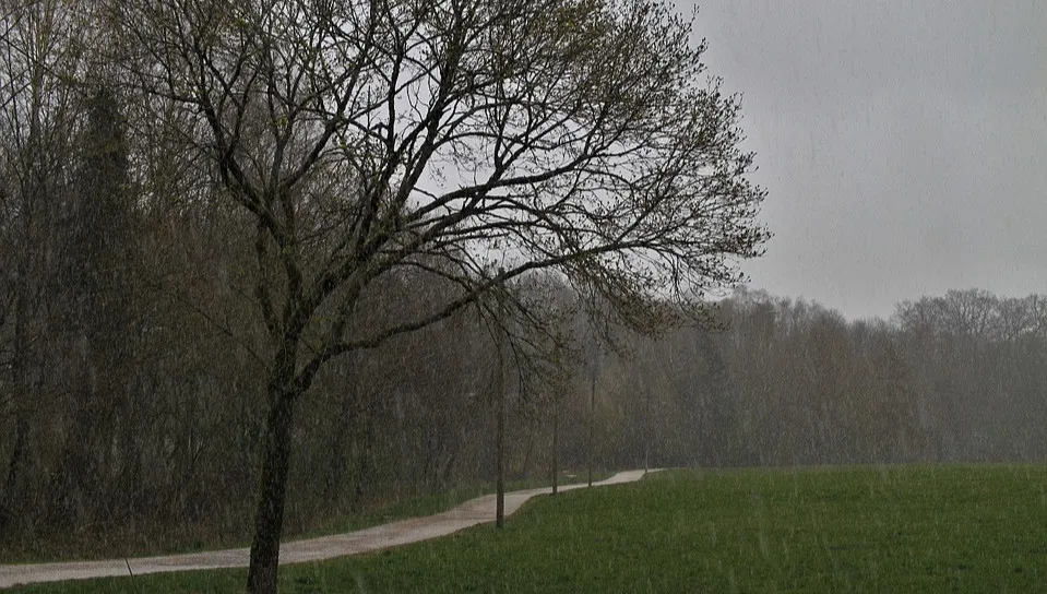 Chłodny poranek. Gdzie dziś będzie najzimniej?