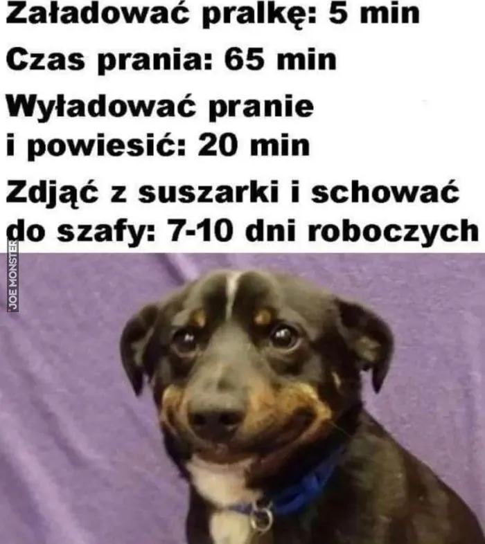 Pranie