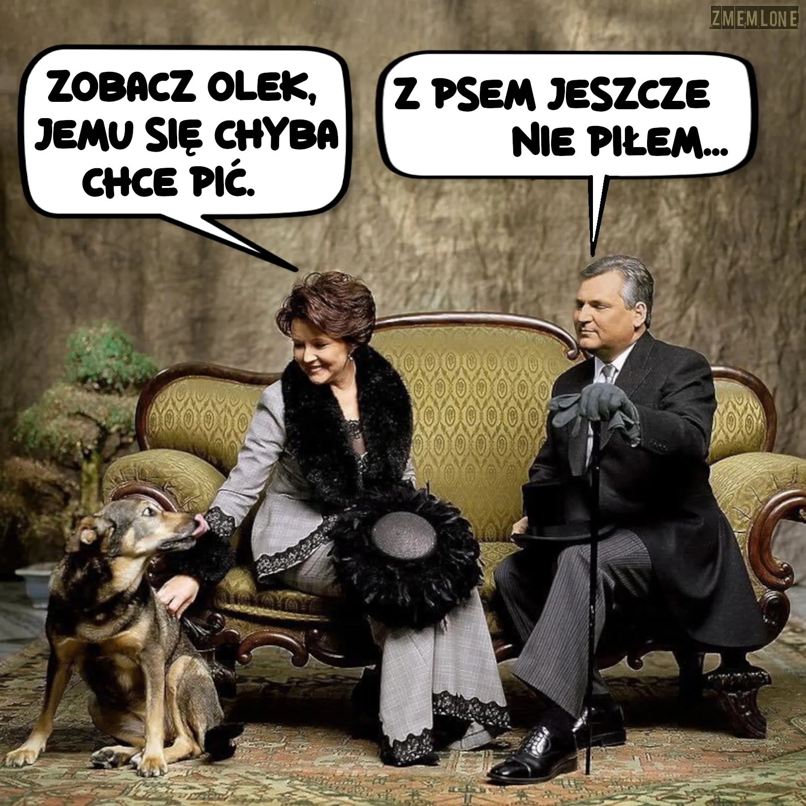 Z psem