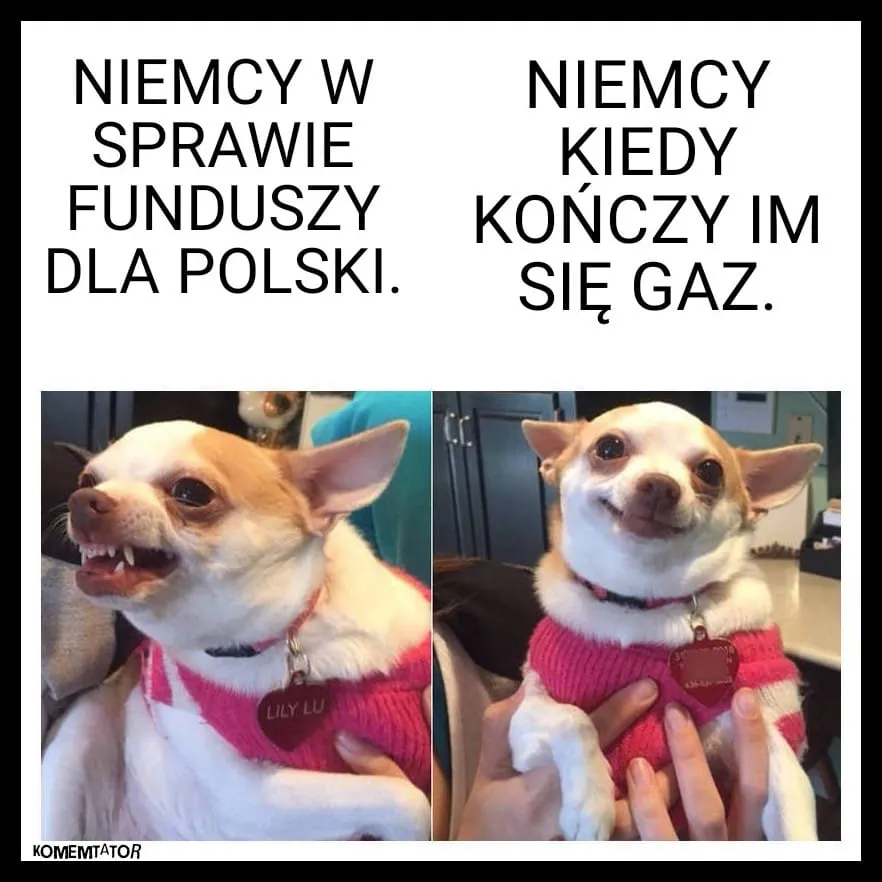 Niemcy