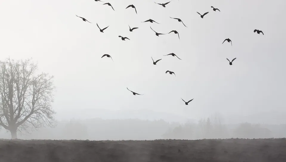 Niedziela pochmurna i z opadami. Nad ranem mgły