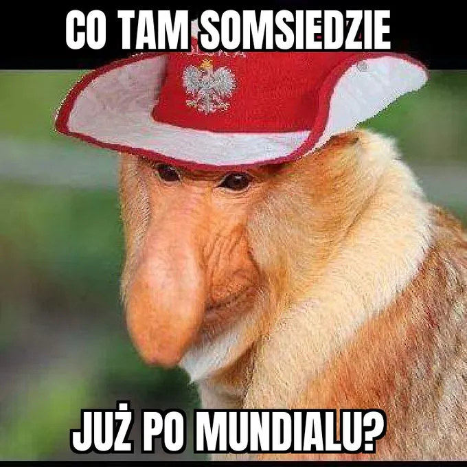 Co tam somsiedzie