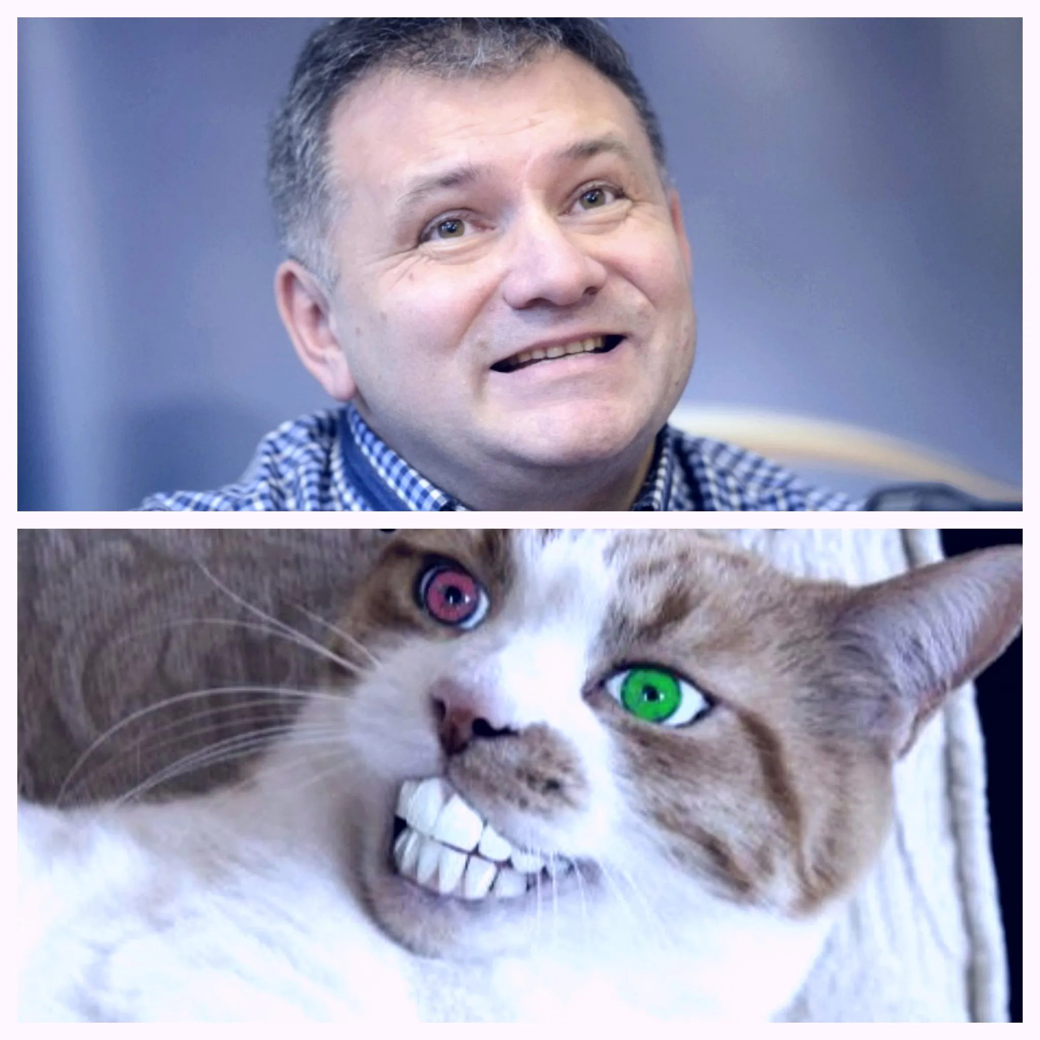 Uśmiech