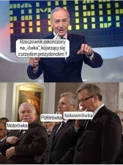 Żubr