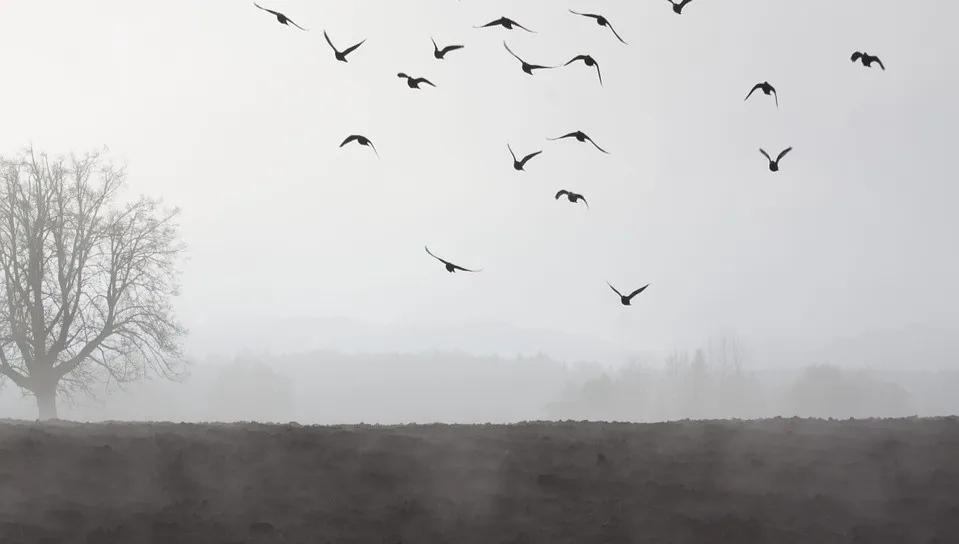 Pochmurny, ale ciepły początek tygodnia 