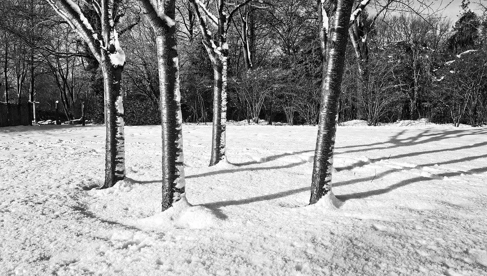 Początek tygodnia z opadami śniegu