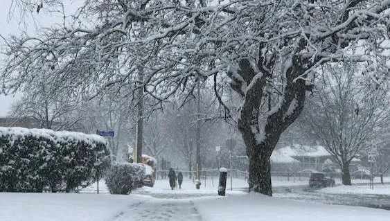 10-latka potrącona przez pijaną kobietę