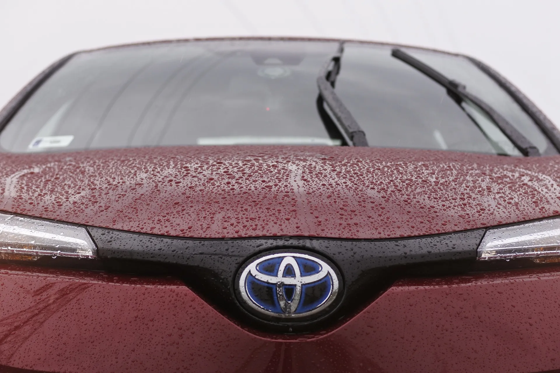 Toyota Central przenosi się do Warszawy
