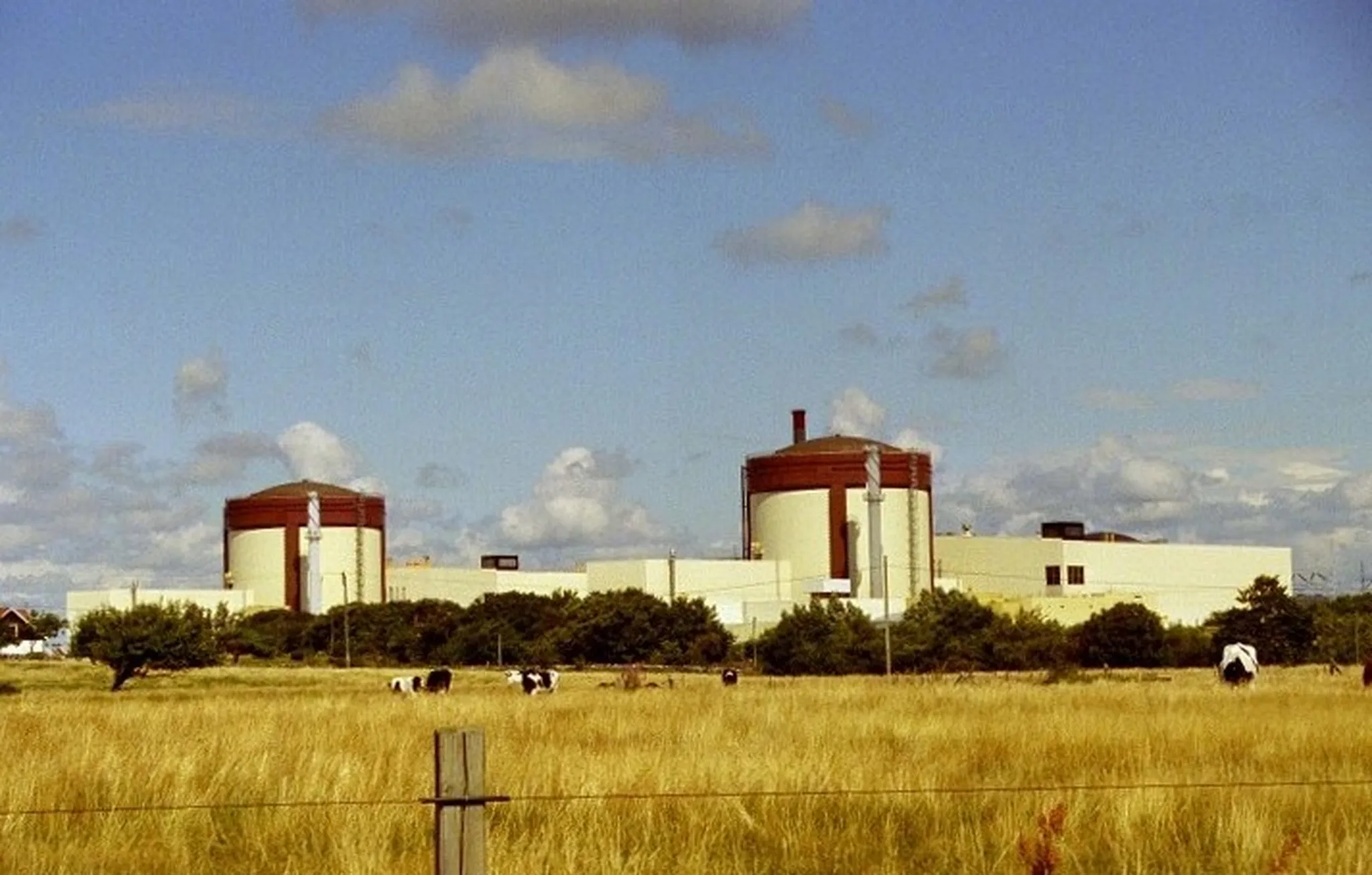 Polacy chcą nowych elektrowni atomowych
