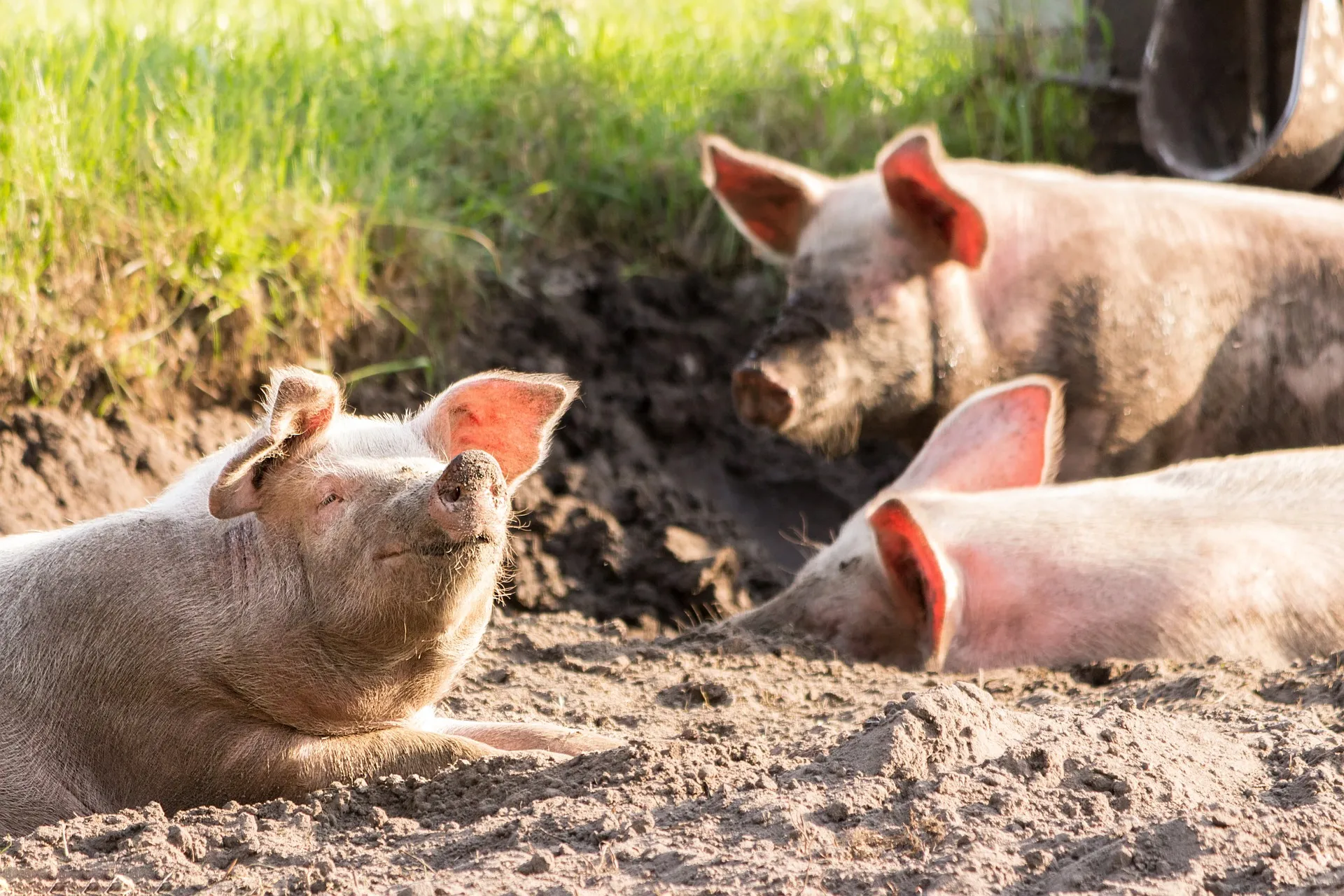 Ostatni dzień na złożenie tego wniosku