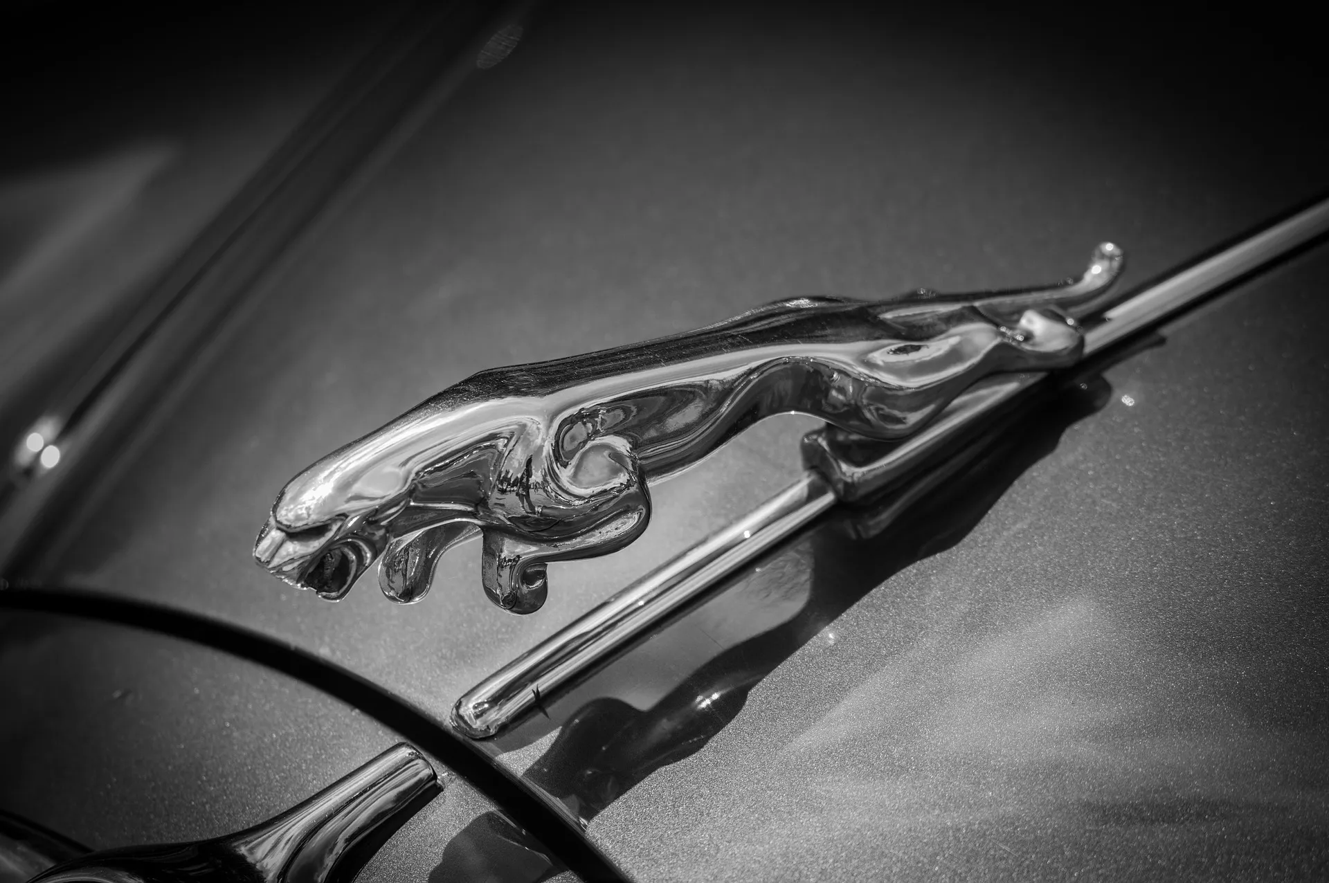 Jaguar Land Rover wstrzymuje produkcję