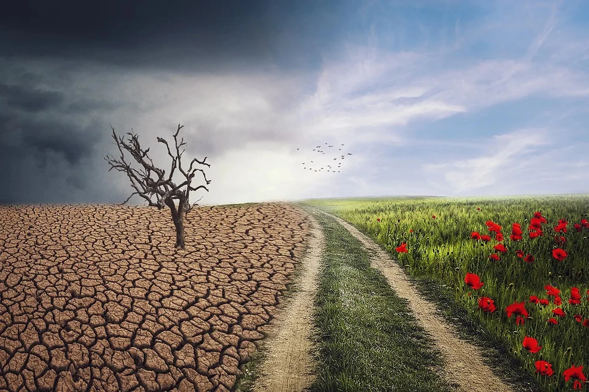 Szczyt klimatyczny: szykuje się batalia