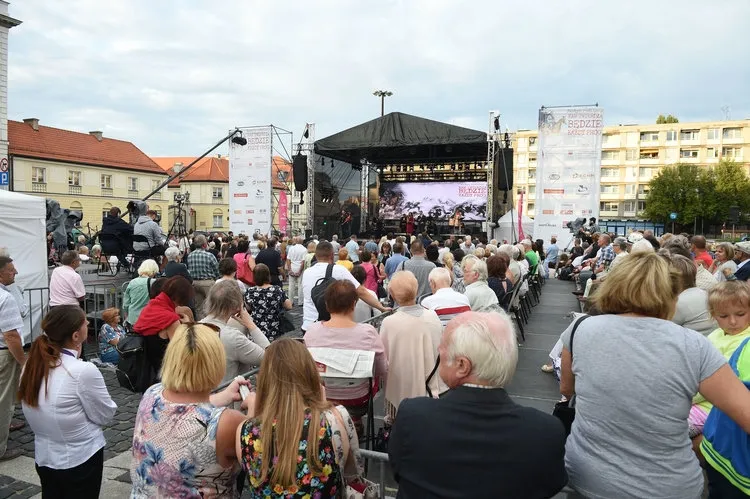 Zdjęcie 12