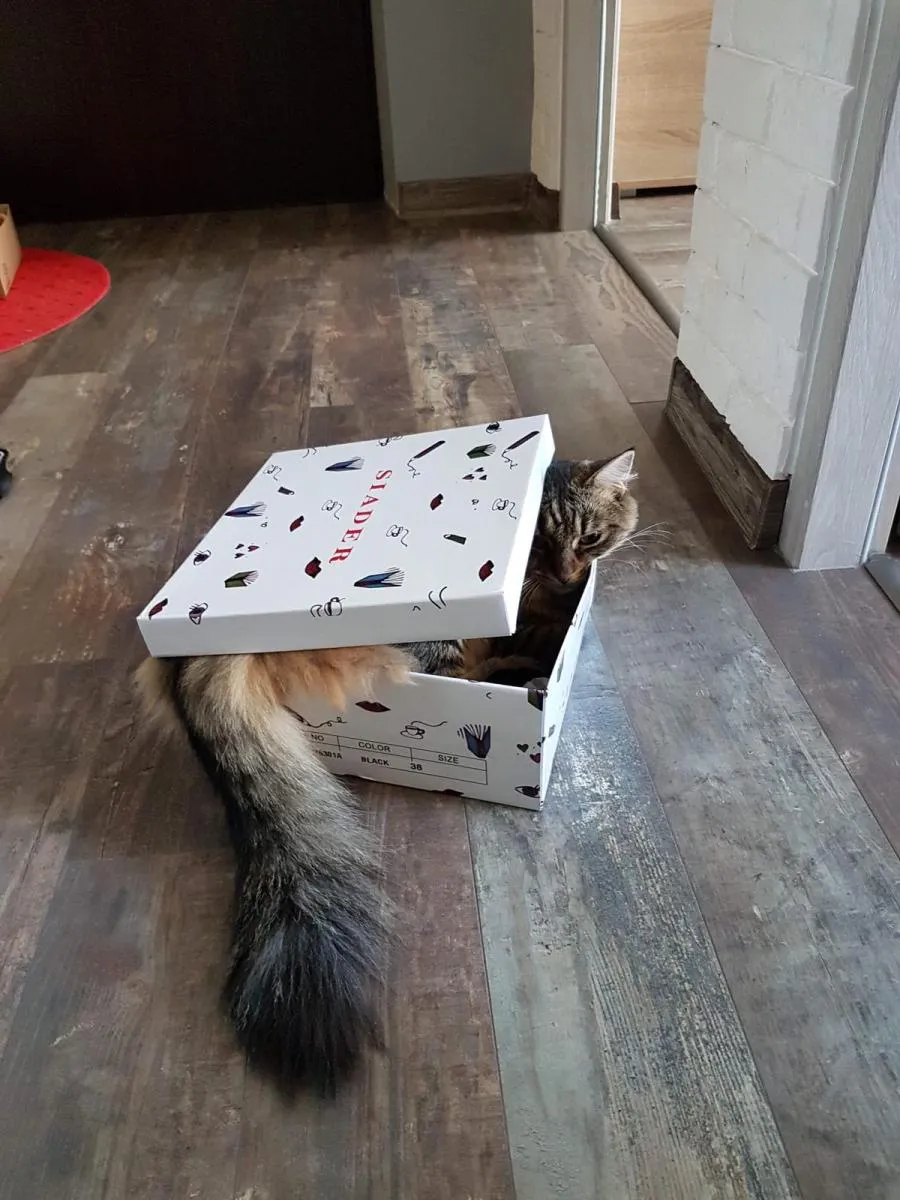 Zdjęcie 2