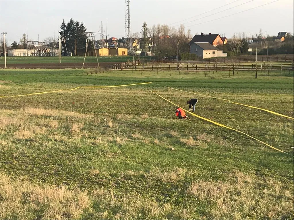 Zdjęcie 2