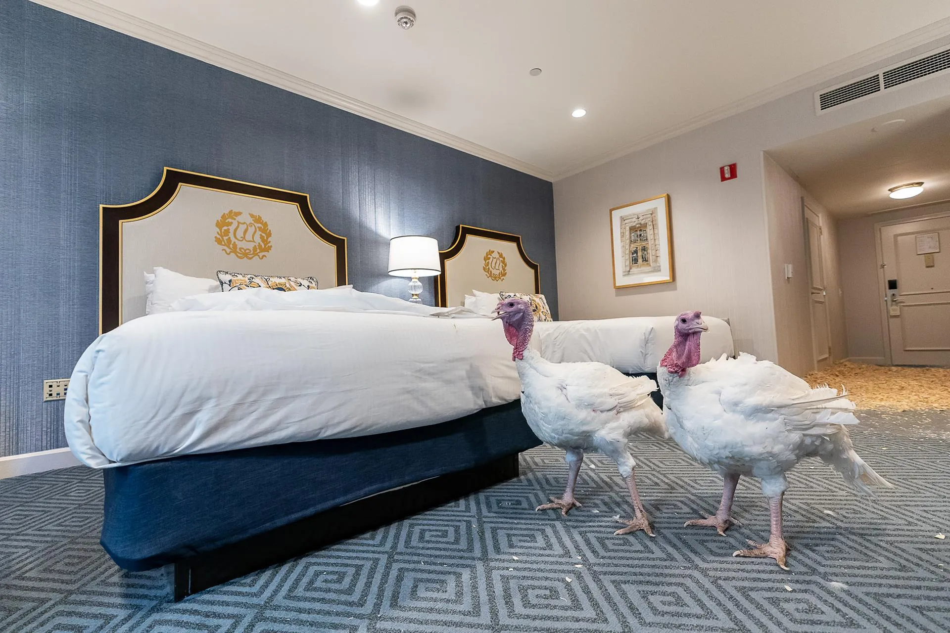 Bread i Butter w hotelu