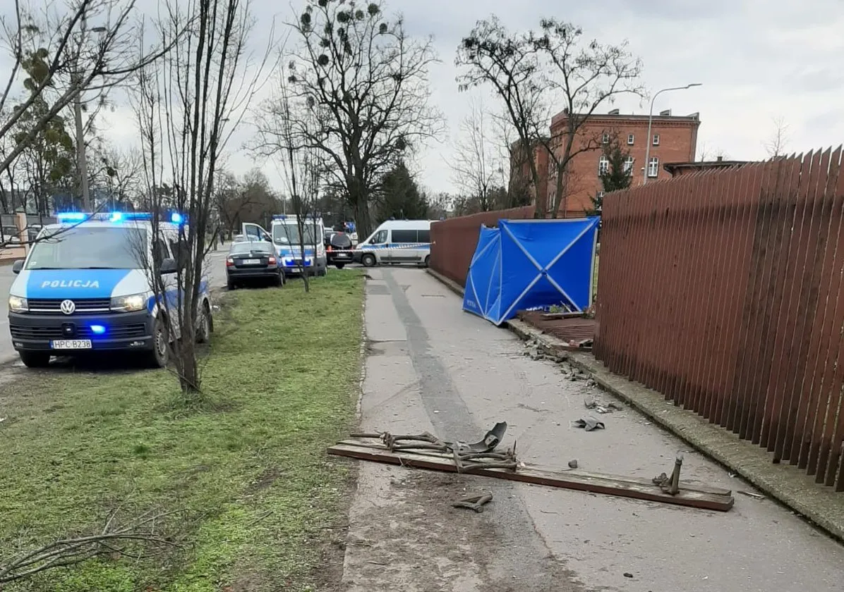 Zdjęcie 2