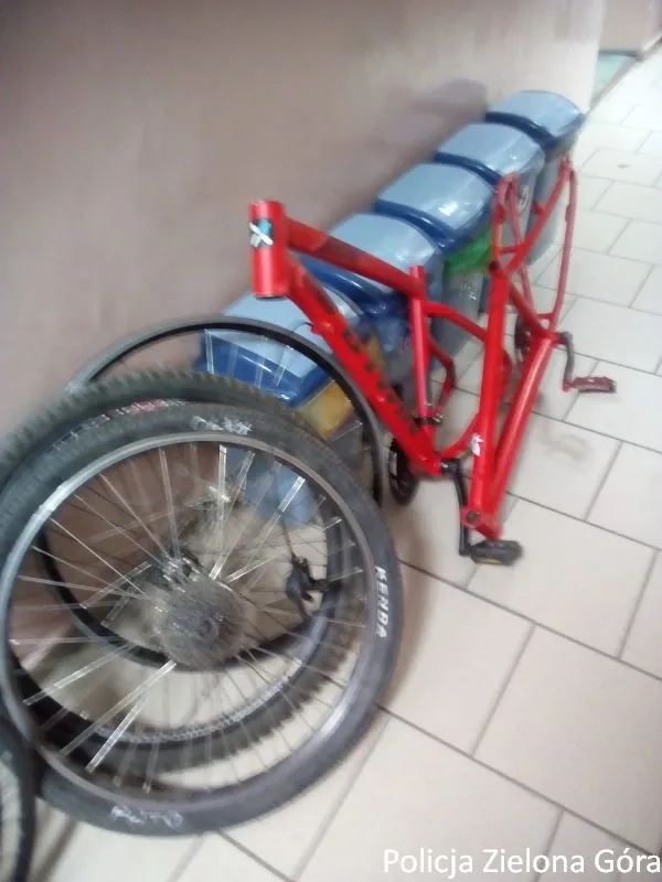 Zdjęcie 14