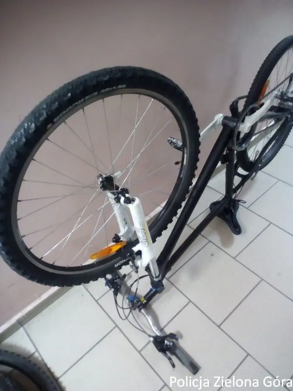 Zdjęcie 11