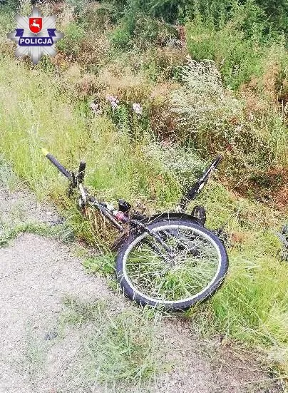 Zdjęcie 1