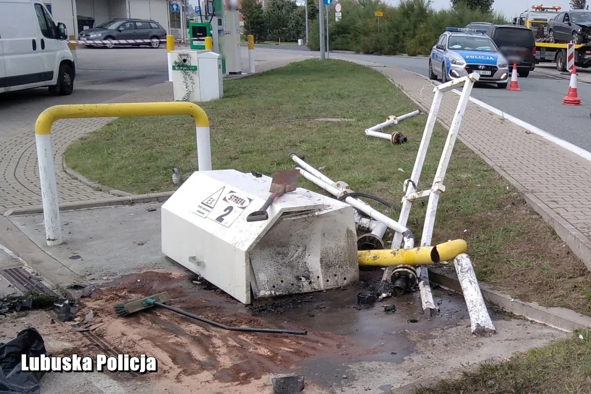 Zdjęcie 2